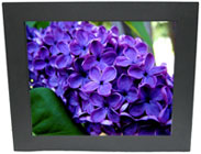 Rack or Panel Mount Monitor